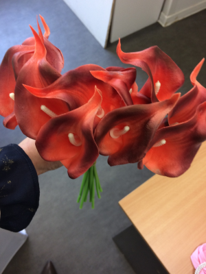 Calla rouge