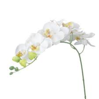 Grappe orchidée artificielle blanche belle qualité