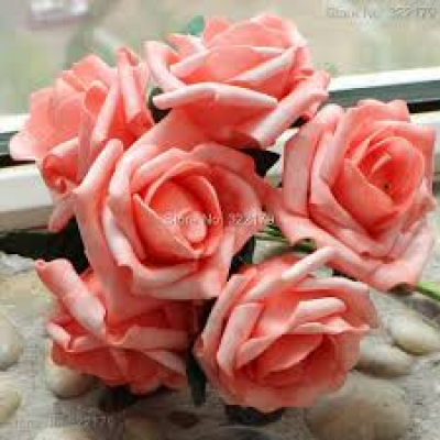 Rose pêche