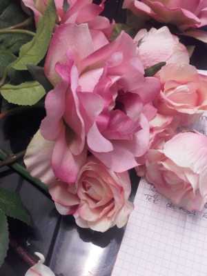 Rose rose