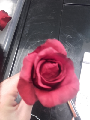 Rose rouge