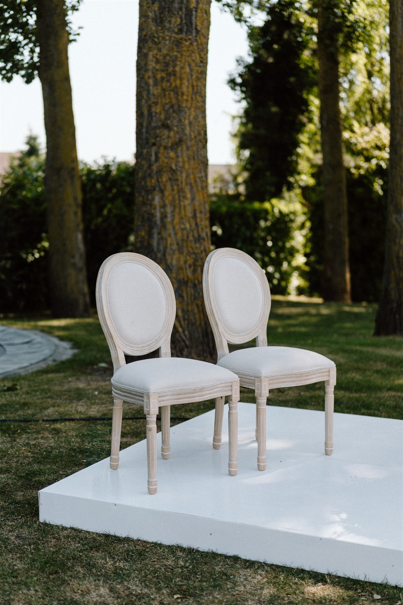 chaise medaillon