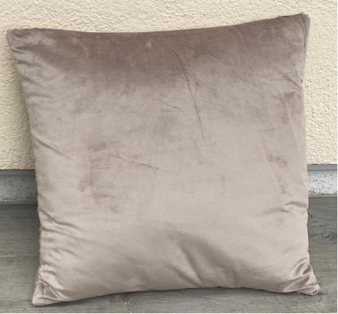 Coussin Beige Velours