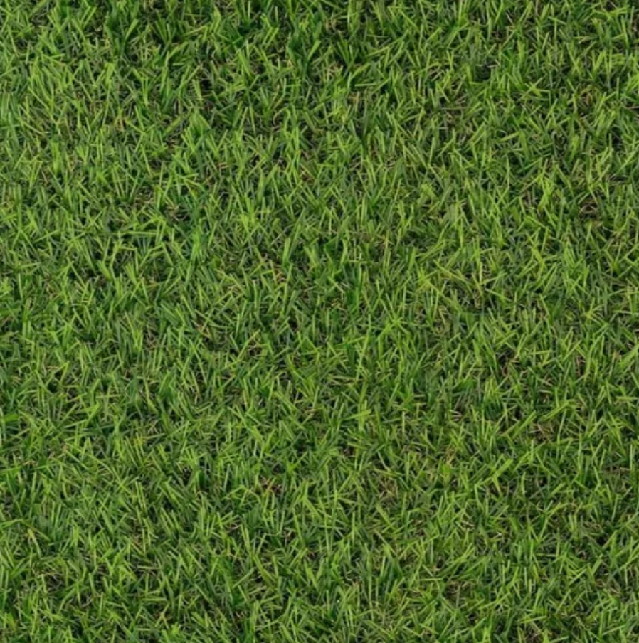 Tapis Pelouse