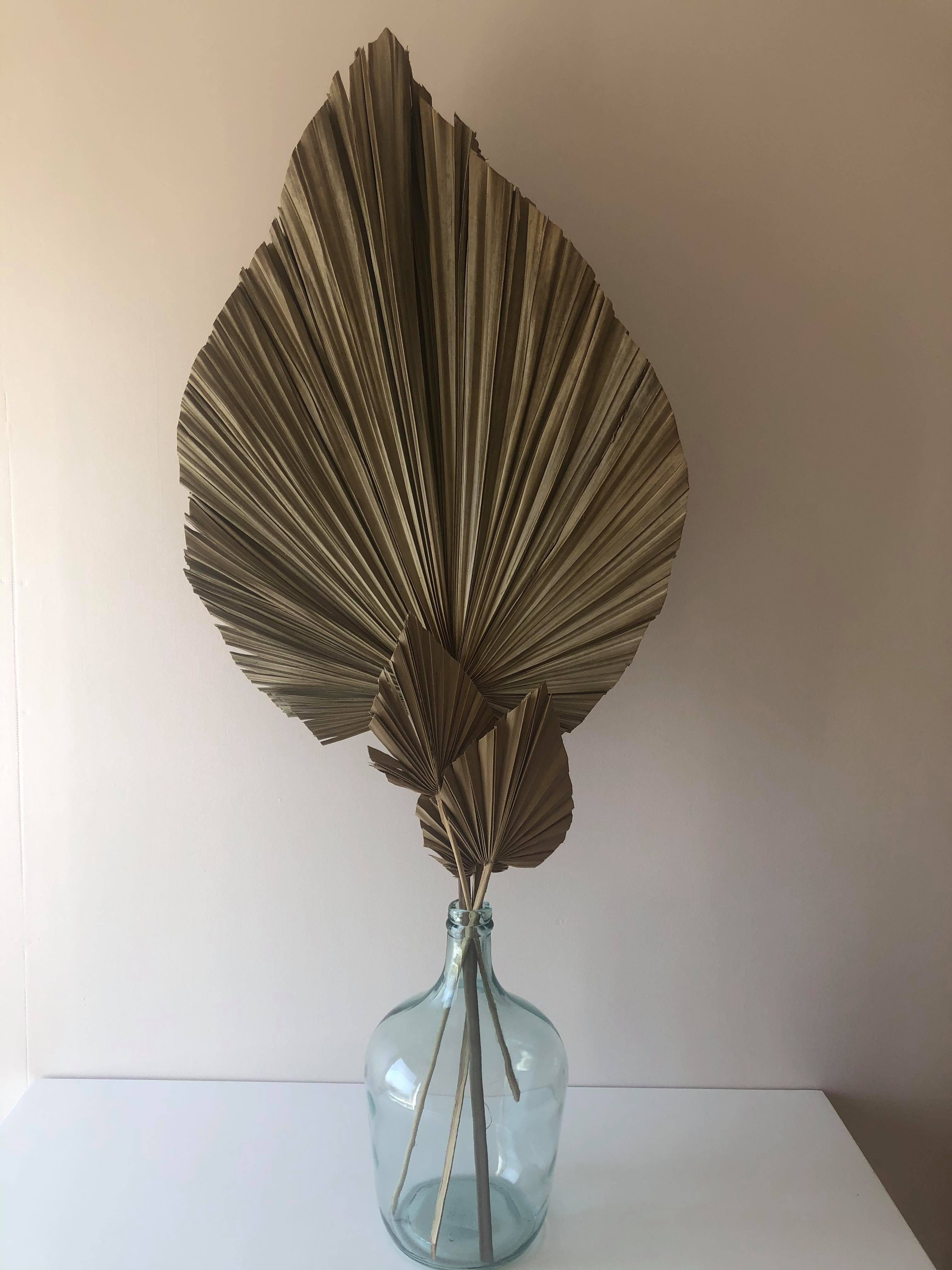feuille de palmier