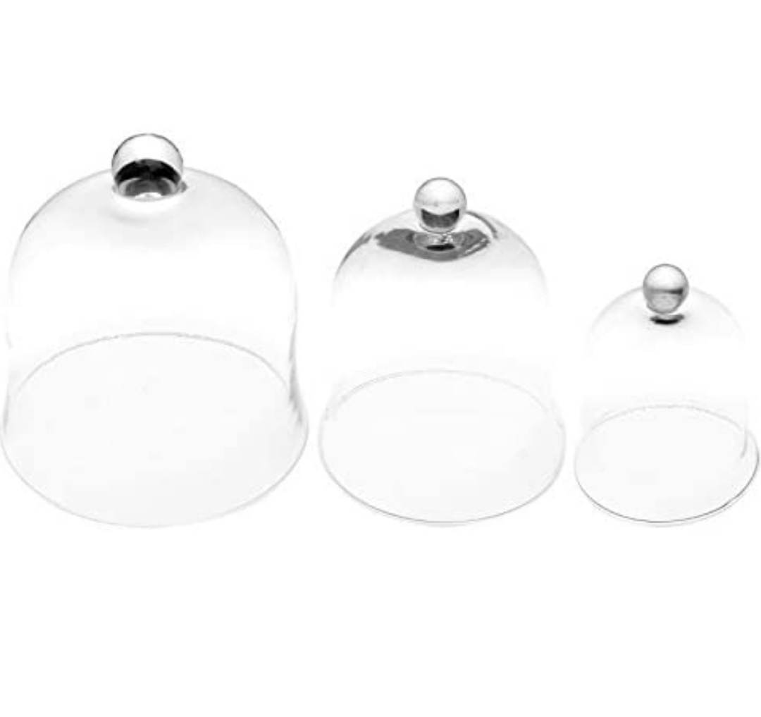 Cloches en verre petit format