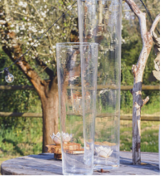 Vase Haut transparent grand format