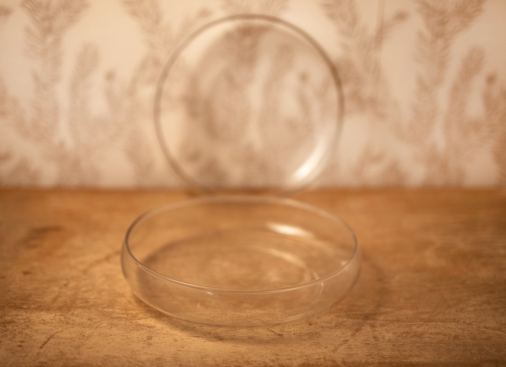 Coupelle en verre