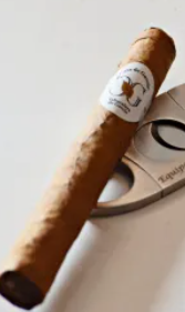 Cigare