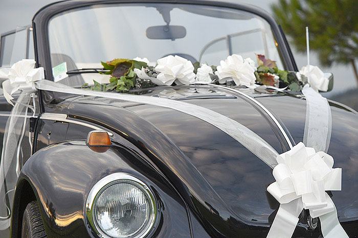 Tulle capot voiture