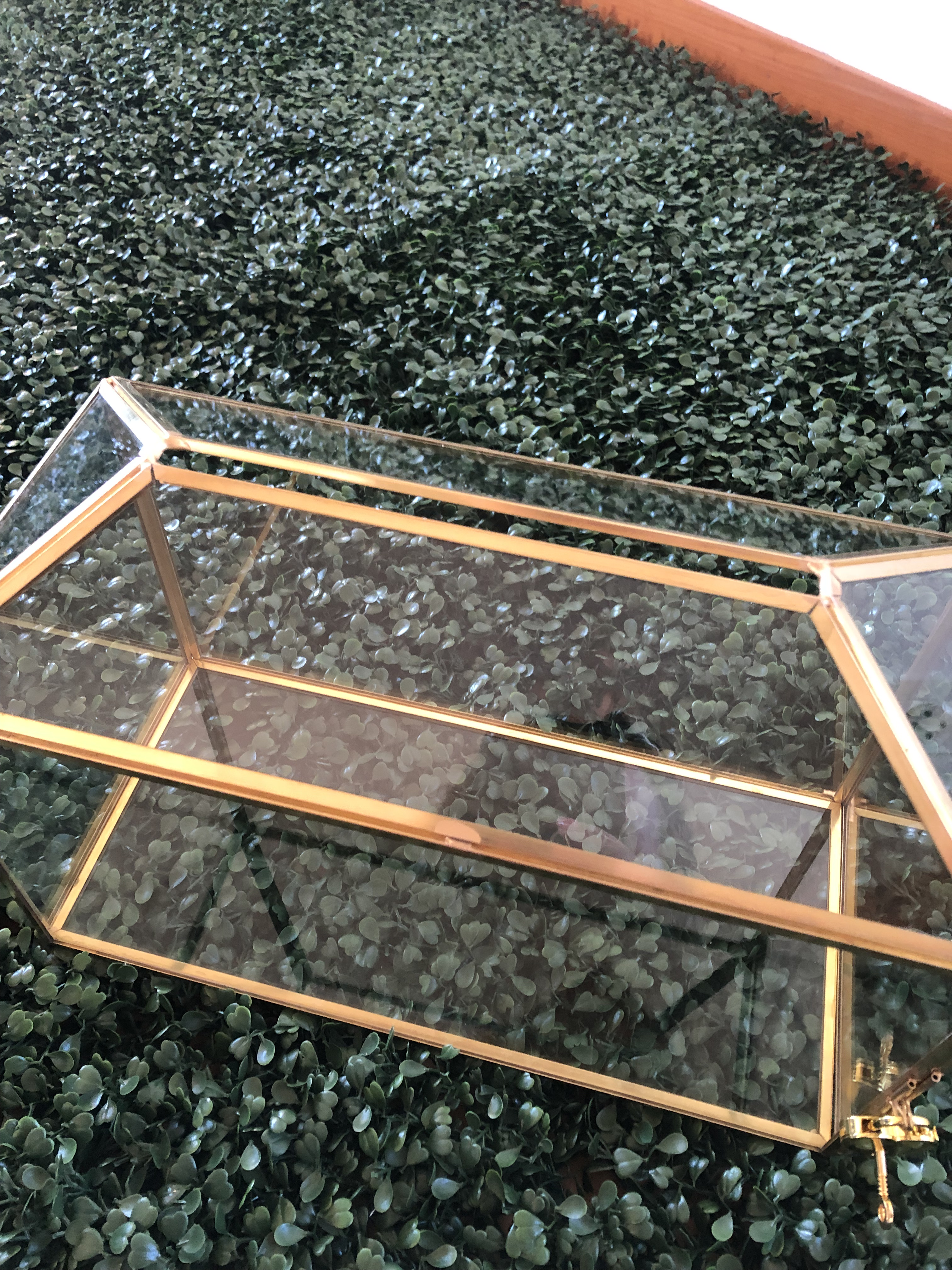 urne terrarium
