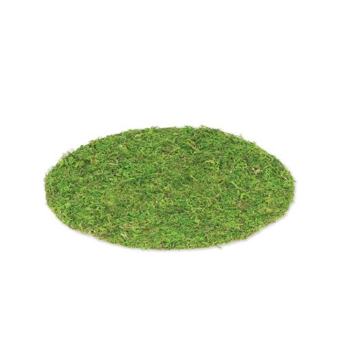 Set de table végétal rond en mousse naturelle 35cm