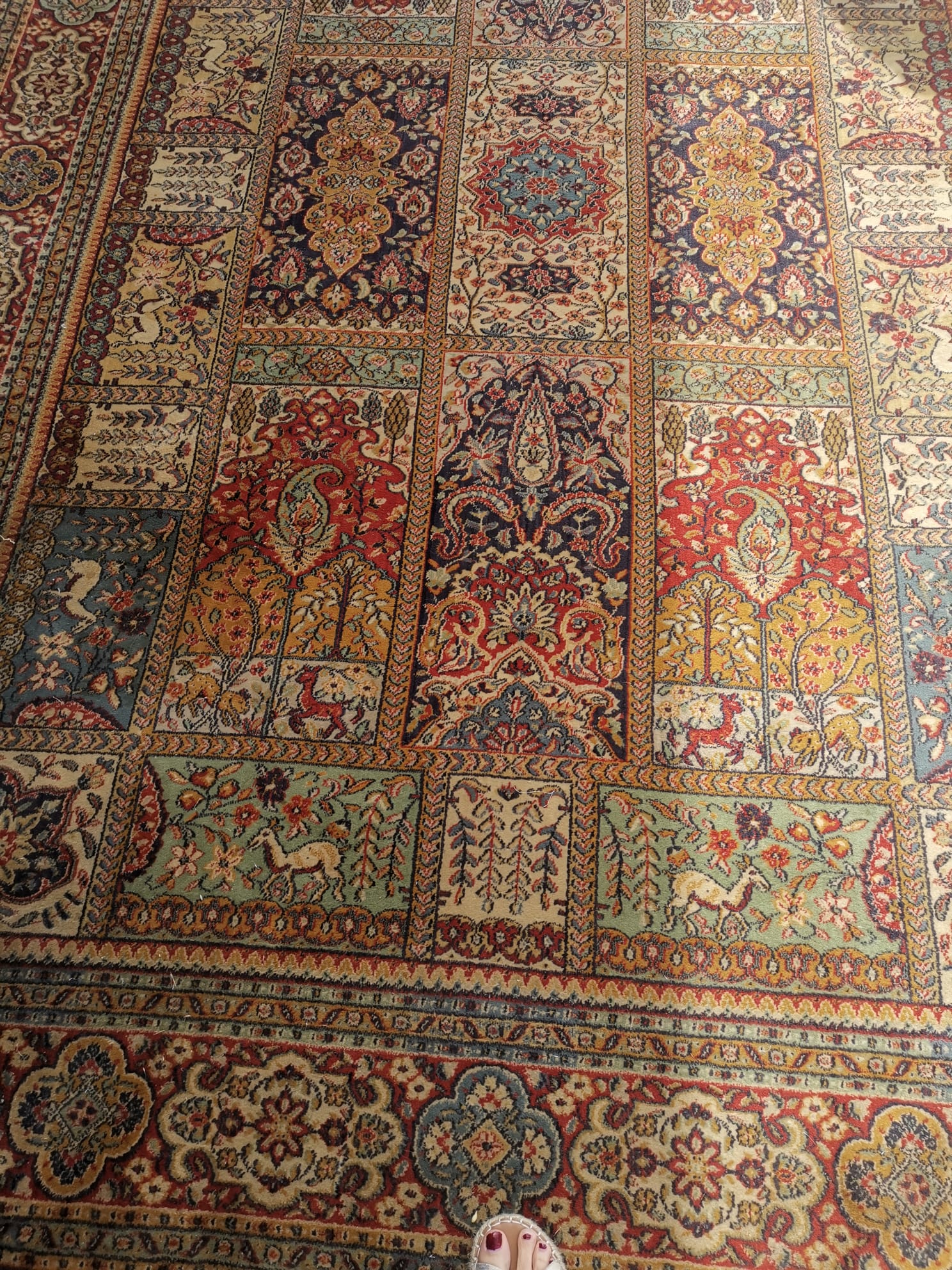 Tapis rouge n°1