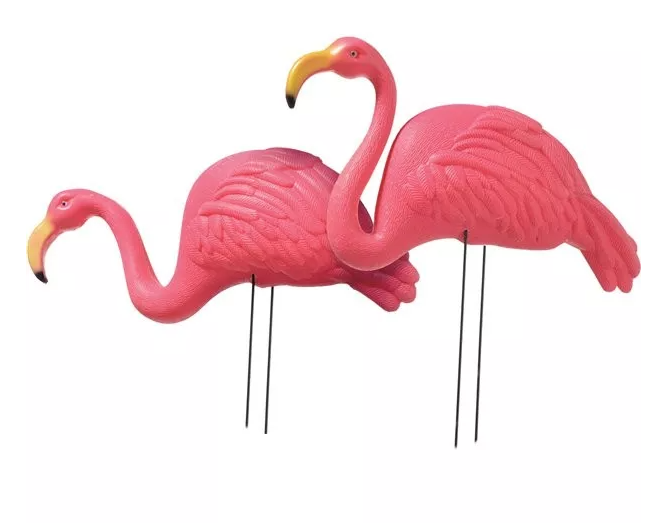 Flamant rose