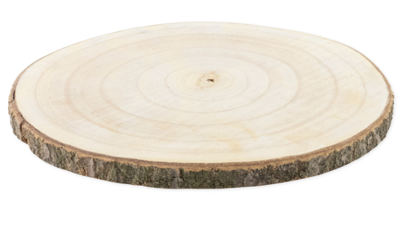 Set rondin de bois