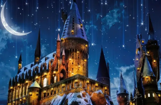 Fond HARRY POTTER