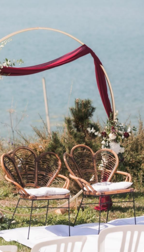 Fauteuil Paon