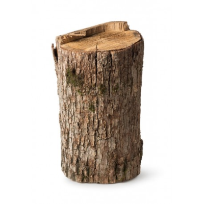 Buche de bois grande