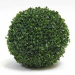 Boule de buis 35cm